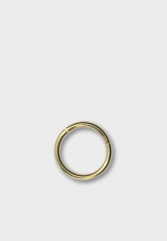 Gold Hinged Ring 1x7mm Titanium